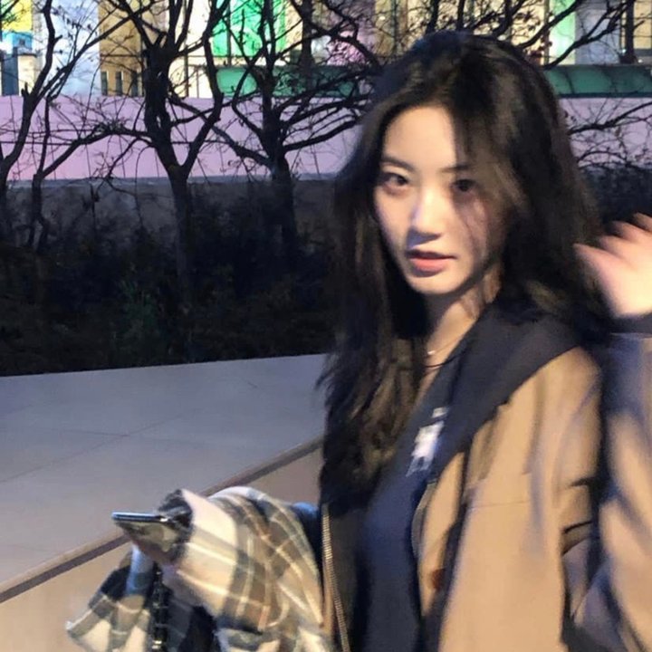 来自美国的莫里斯